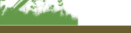 ecoearthcityguide_flora_graphic
